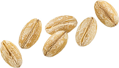 Dry barley grains isolated