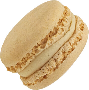 One macaron isolated