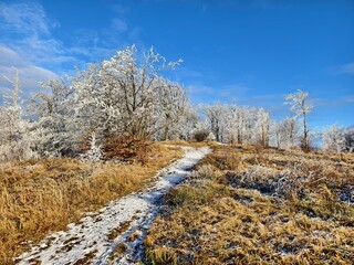 trail in the mountains in winter