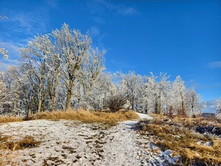 trail in the mountains in winter