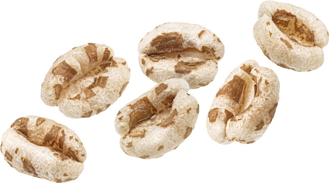 Falling puffed wheat isolated