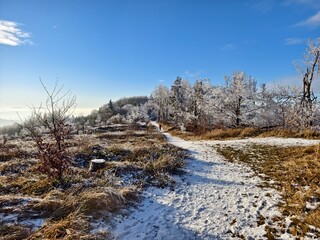 trail in the mountains in winter