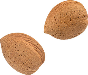 Almond nuts in shell isolated
