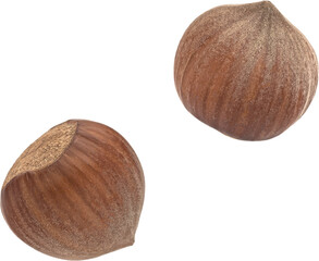Falling hazelnuts isolated