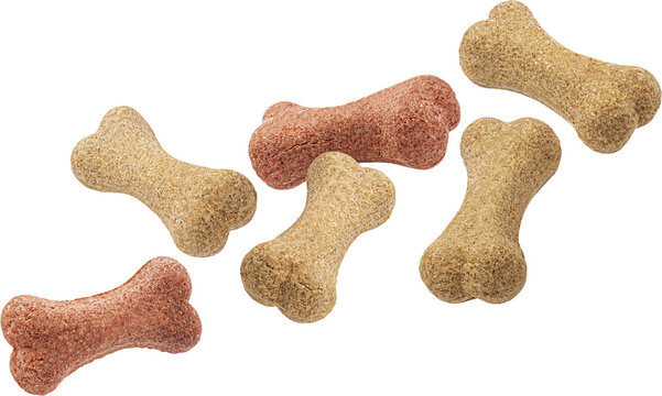 Dry pet food, dog treats bone shape isolated