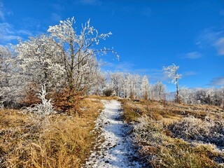 trail in the mountains in winter