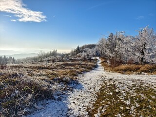 trail in the mountains in winter