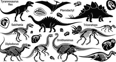 Dinosaur skeleton silhouettes collection, prehistoric reptile fossils vector illustration set isolated on white background for education, museum, science design © Jisan World