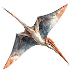 watercolor of Pteranodon, isolated on a white background. © brixel