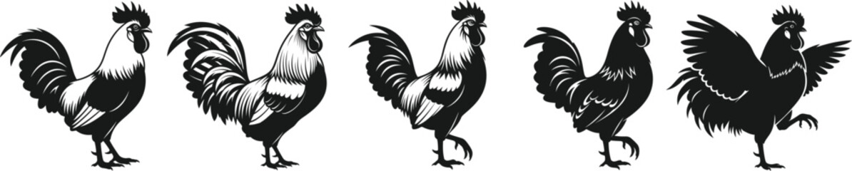 Proud Roosters Detailed and Silhouette Designs © Shuvro229