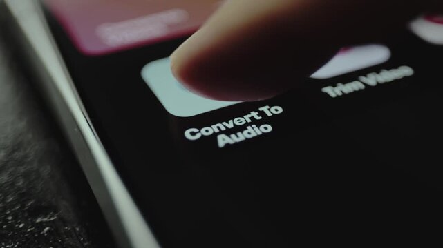 User selects the option Convert to Audio within a video editing software interface