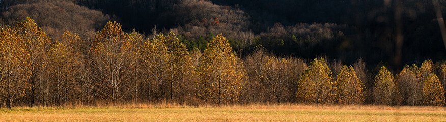 Fototapeta premium Panorama of Yellow and Orange Fall Trees in Nelson County, Virginia