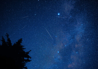 Milky way stars and constellations with landscape silhouettes photographed from a dark countryside location.