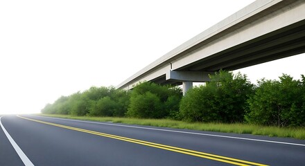 Road under Elevated Highway with Trees, Transportation, Abstract Background