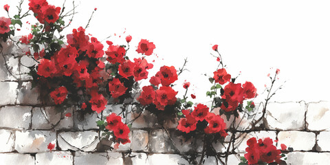 A vibrant cluster of red flowers blooming against a stark white background © DARK TRUST