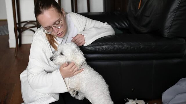 A young woman in glasses sits on the floor and pets a white Bichon Frise dog. Another shot shows a person brushing the dog's wet fur with a pink slicker brush on a towel.