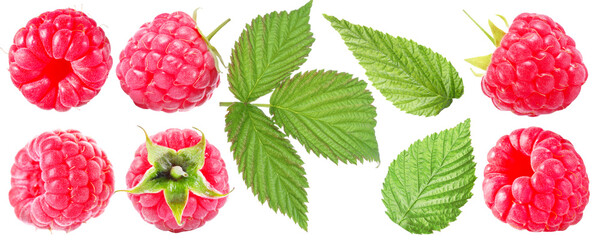 Fresh raspberries and green leaves isolated on white, set