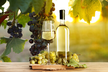 Naklejka premium Wine and fresh grapes on table. Glass and bottle in vineyard