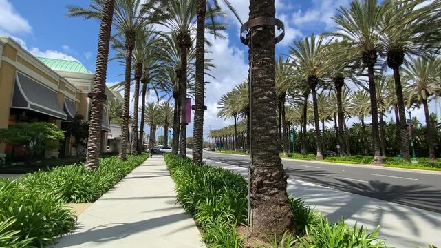 Vibrant urban view of Anaheim, California. Features city buses, cars, beautiful local architecture, and lush palm trees under a bright blue sky with white clouds. Authentic SoCal lifestyle.