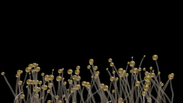 Stylized representation of Cellular slime mold reproducing. Sporangiophores and sporangia of pin molds.  3d render animation