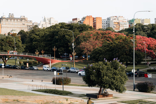 Urban park with pedestrian bridge and flowering trees in Buenos Aires