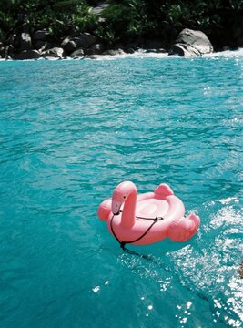 Pink Flamingo Inflatable Floating in Turquoise Sea