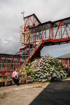 Industrial Walkway And Hydrangeas