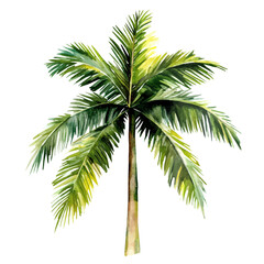 Triangle Palm High Quality, watercolor artwork with intricate patterns and vibrant, isolated on a white background. © velora