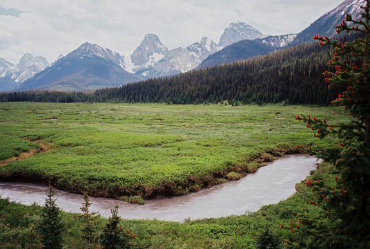 Serene view of river on the background of Canadian Rocky Mountains 
