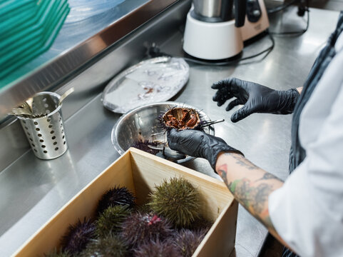 Chef preparing sea urchin roe 