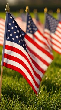 Mini American flags in breeze on Memorial Day USA. Cinematic close-up of miniature American flags planted closely together and moving in a light breeze on Memorial Day USA.