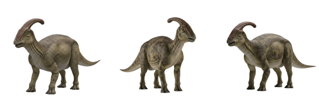 Parasaurolophus walkeri dinosaur isolated on white background, crested hadrosaur herbivore fossil reptile cutout PNG, Cretaceous duck-billed dinosaur 3D render model, prehistoric animal figure