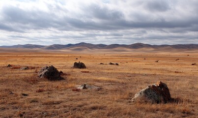 Obraz premium A large field of rocks and dirt