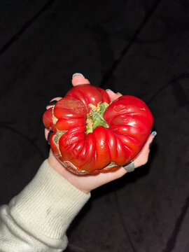 Holding a Heirloom Tomato