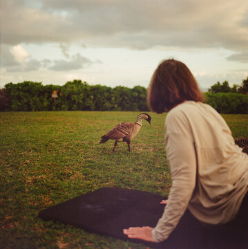 Woman doing upwards dog yoga position as the Nene watch
