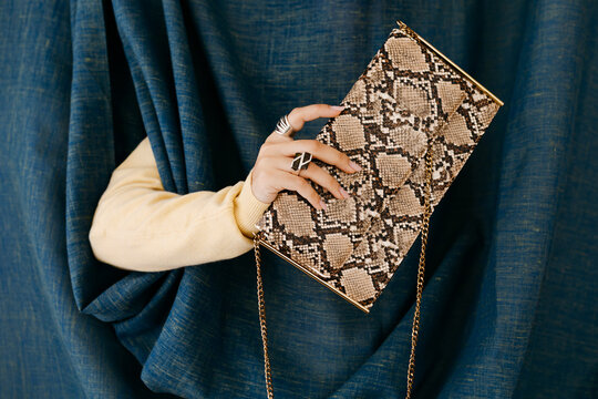 Hand holding stylish snakeskin pattern clutch bag