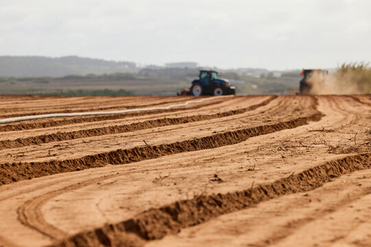 Furrowed Field with Tractors in Distance