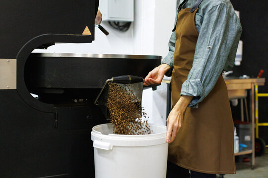 Worker at coffee beans falling out in bucket from roaster machine