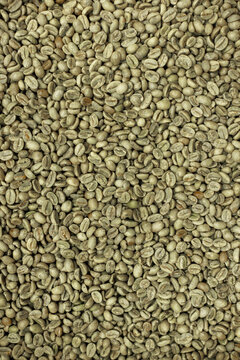 Background texture of fresh organic coffee seeds close up