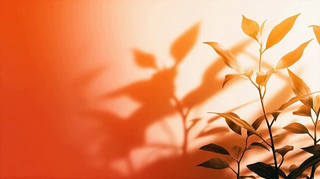 Plant leaves casting shadow on wall