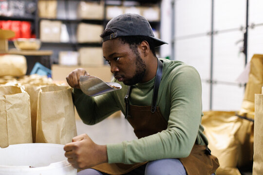 Male worker sniffing and checking coffee beans on aluminum scoop