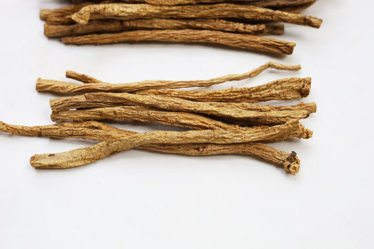 Dried brown Codonopsis root sticks used in Chinese herbal medicine.