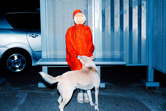 Dog Biting Person&rsquo;s Sleeve at Night