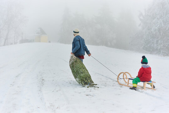 Father Pulling Sled and Christmas Tree Through Winter Fog