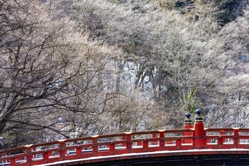 日本周遊　日光神橋あたり