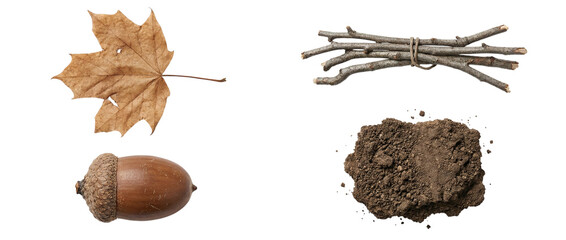 Dried maple leaf, bundle of sticks tied with twine, acorn and soil clump isolated on transparent background. Autumn forest ephemera for rustic collage and eco designs © Vitalo4ok