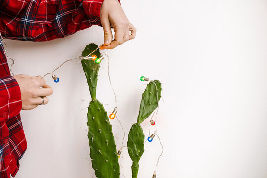 Decorating a cactus.