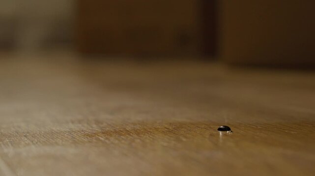 Steel Pin Descends Near Wooden Surface Creating Shadow, Metal Pin Nears Wooden Floor Forming Shadow Edges, Pin Advances Towards Surface While Metal Pin Moves Close To Wooden Floor Forming Shadow Edge