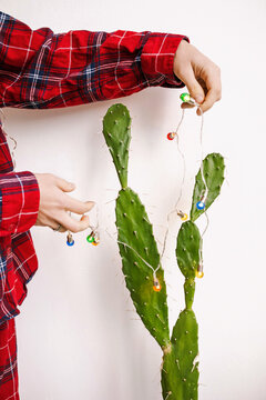 Decorating a cactus.