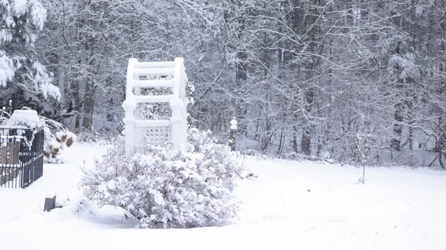 Garden during snowfall